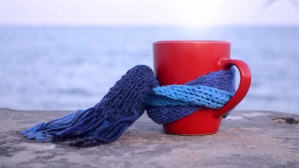 Taza roja con té de café caliente y vapor, atado con bufanda de punto azul — Vídeo de stock