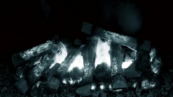 Elektrische Kamine mit eingebautem Verdampfer wandeln Wasser in Dampf um — Stockvideo