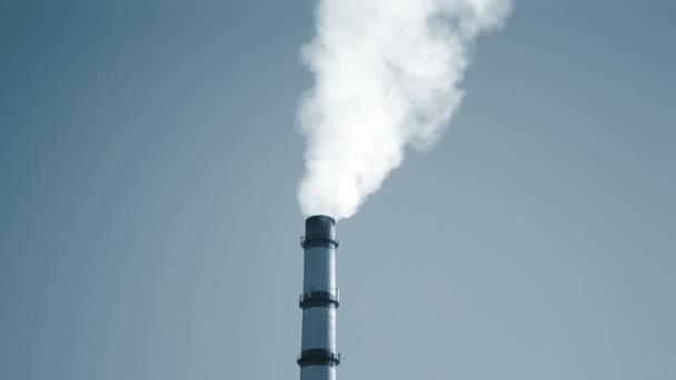 Grande colonna di fumaria centrale termica in luce in una giornata di sole — Video Stock