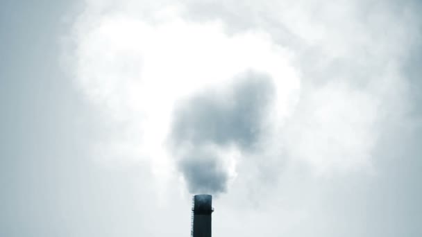 Güneşli bir günde büyük bir duman borusu termik santrali — Stok video