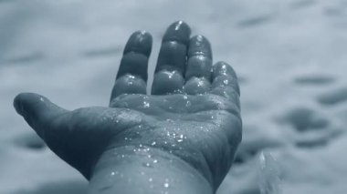 Eriyen kar damlaları güneşin parlaklığıyla palmiyeye düşer.