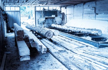 Bıçkıhane. bıçkıhane makinesindeki makine kayıtları ağaç gövdesini testereyle keser