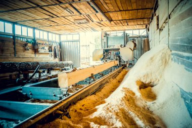 Bıçkıhane. bıçkıhane makinesindeki makine kayıtları ağaç gövdesini testereyle keser