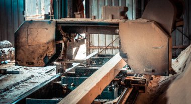 Bıçkıhane. bıçkıhane makinesindeki makine kayıtları ağaç gövdesini testereyle keser