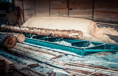 Bıçkıhane. Teçhizat testere makinesindeki makine kayıtları tahta tahtalardaki ağaç gövdesini testereyle kesiyor. Ahşap talaşı ahşap ahşap işçiliğini kesiyor.