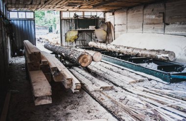 Bıçkıhane. Teçhizat testere makinesindeki makine kayıtları tahta tahtalardaki ağaç gövdesini testereyle kesiyor. Ahşap talaşı ahşap ahşap işçiliğini kesiyor.