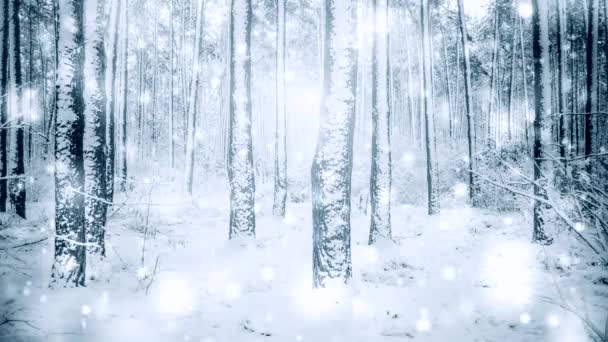 Tree borovice smrk v magickém lese zima s padajícím sněhem slunečný den. — Stock video