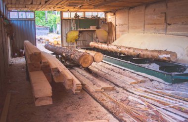 Bıçkıhane. Teçhizat testere makinesindeki makine kayıtları tahta tahtalardaki ağaç gövdesini testereyle kesiyor. Ahşap talaşı ahşap ahşap işçiliğini kesiyor.