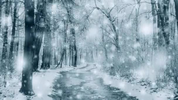 魔法森林冬季的松树云杉，下雪天阳光明媚 — 图库视频影像