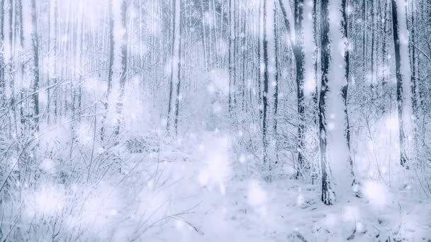 Árvore abeto de pinho no inverno floresta mágica com queda de neve dia ensolarado. — Vídeo de Stock