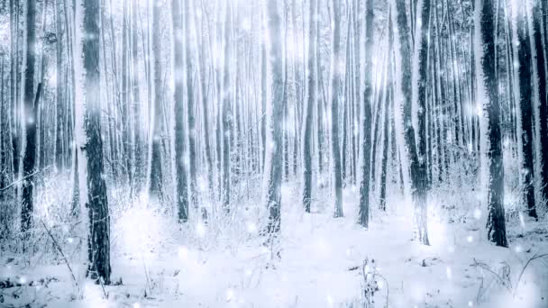 Träd tall gran i magisk skog vinter med fallande snö solig dag — Stockvideo