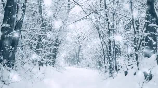Дерево сосновая ель в волшебном лесу зимой с падающим снегопадом. — стоковое видео