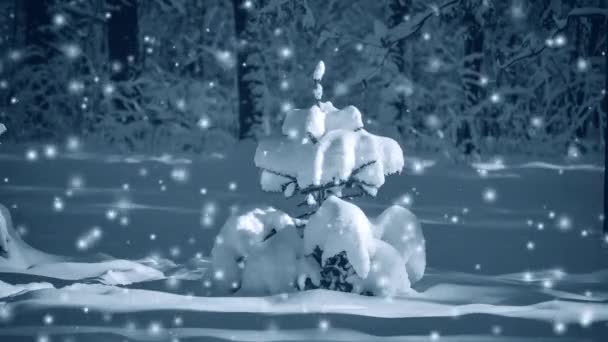 Fantasztikus tündérmese varázslatos táj kilátás karácsonyfa Forest Park — Stock videók