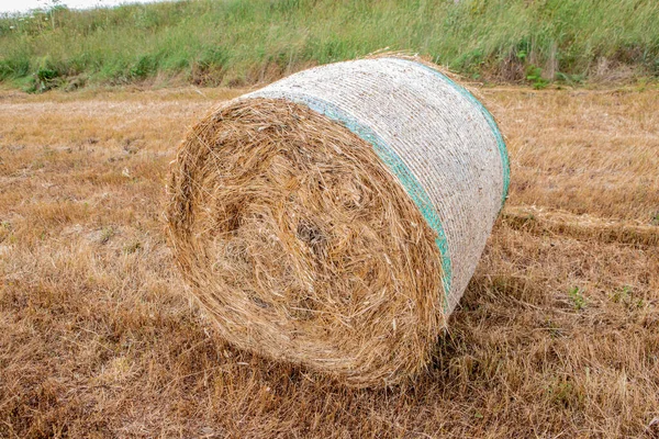 Bales Harvesting Golden Field Landscape South Sardinia — Stock Photo, Image