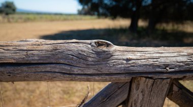 Çit yapımında kullanılan kuru tahta gövde.
