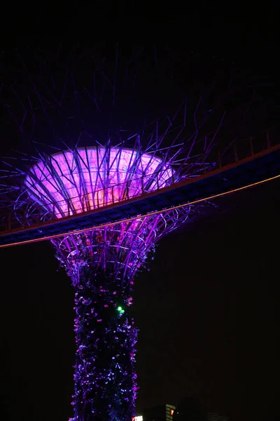 Cidade Singapura País Singapura 2020 Uma Visão Noturna Super Árvore — Fotografia de Stock