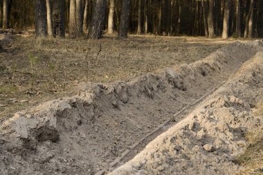 Ormanda ateş çukuru