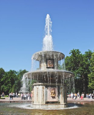 Peterhof, Rusya Federasyonu - 21 Mayıs, 2017: Çeşme Peterhof Sarayı bahçesinde. Aşağı Parkı kase Çeşmesi.