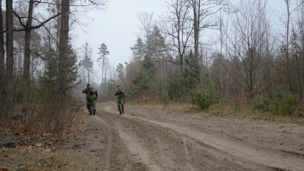 Tactical movement of two armed men along a forest road — Stock Video