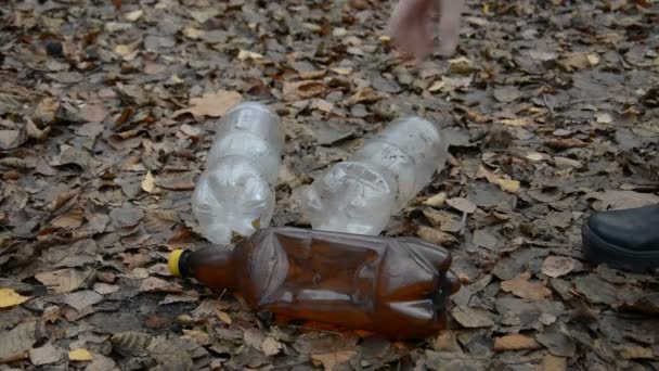 Close up shot of young man picking up plastic bottles in autumn forest — Stock Video