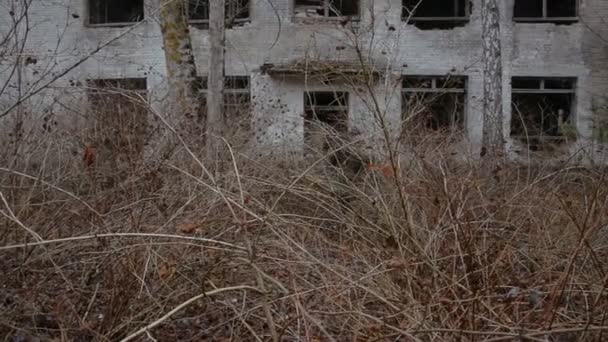 Deux soldats se frayent un chemin à travers les buissons dans le contexte d'un bâtiment abandonné de deux étages — Video