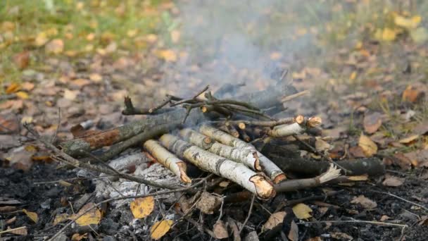 Brasa för picknick i höstskogen — Stockvideo