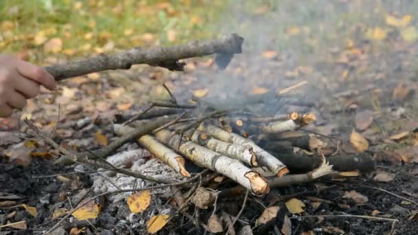 Bonfire voor een picknick in het herfstbos — Stockvideo