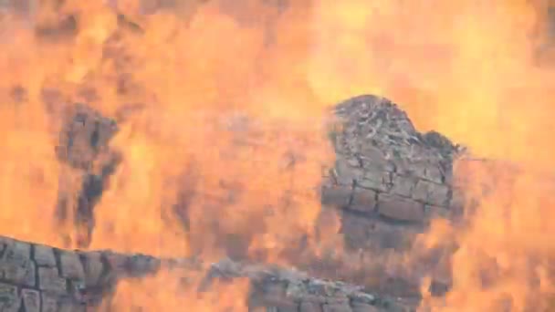 나무와 불 벽난로 — 비디오