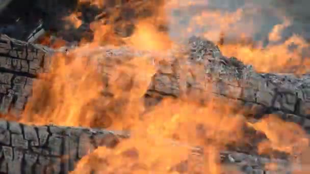 Cheminée avec bois et feu — Video