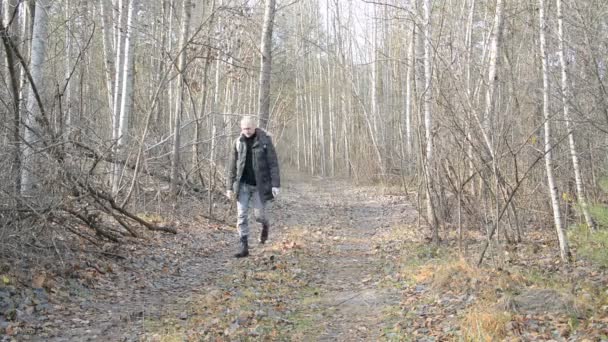 Touriste masculin avec un sac à dos, Promenades le long d'une forêt d'automne — Video