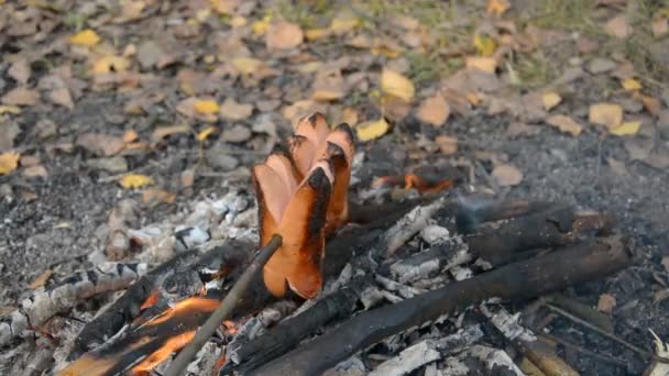 Utsökta och väldoftande korv grillas på lägerelden i skogen sommaren — Stockvideo