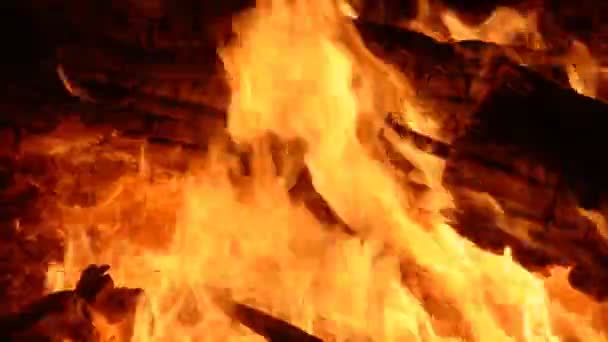 Close-up fire flame background — Stock Video