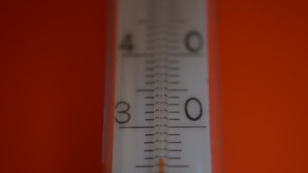 Алкогольний термометр ізольований на червоному фоні — стокове відео