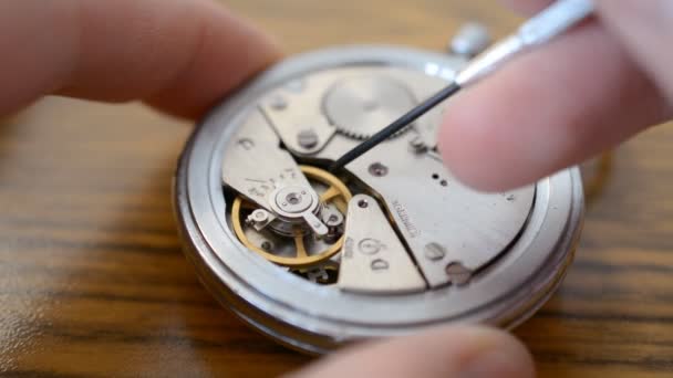 Watchmaker Repairing Mechanical Watches Close Work Tool Process — Stock Video