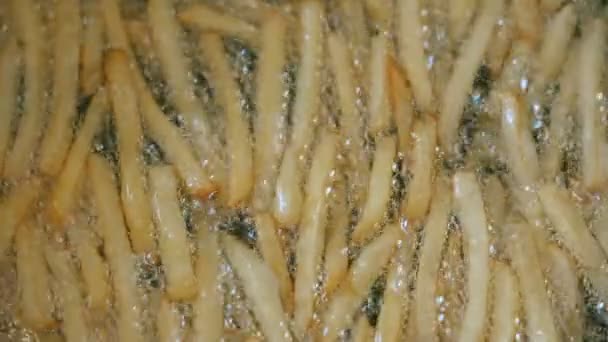 Каструля зі смаженою картоплею — стокове відео