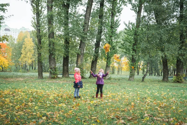 Boldog kis gyermek, kislány nevet és játszik az ősszel a természet séta — Stock Fotó