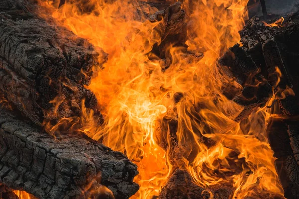 벽난로 있는 불타는 나무에 불꽃의 문장 — 스톡 사진