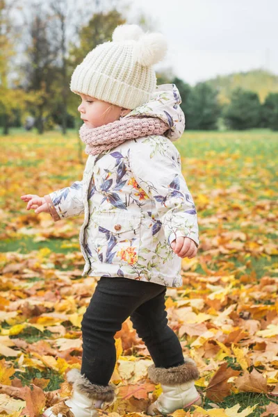 Lykkelig liten jente i høstparken – stockfoto