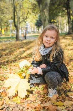 Beş yaşında güzel bir kız düşen yaprakları topluyor.
