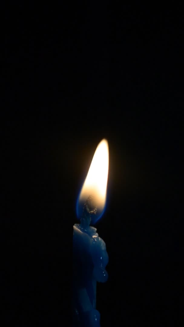 Azul velas de cumpleaños luz sobre fondo negro aislado vertical — Vídeo de stock