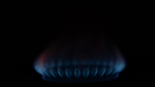 Kitchen burner flaming in the night — Stock videók