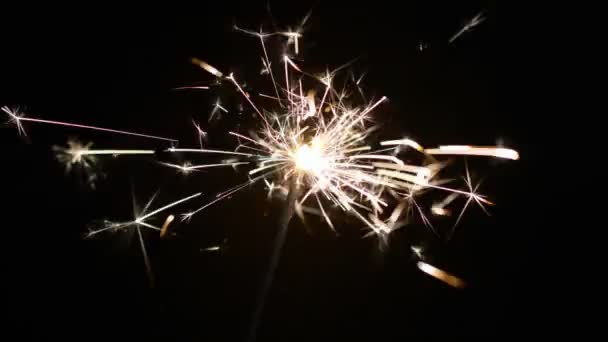 One sparkler sparkles on a black background, Christmas and New Year celebration concept — Stock Video