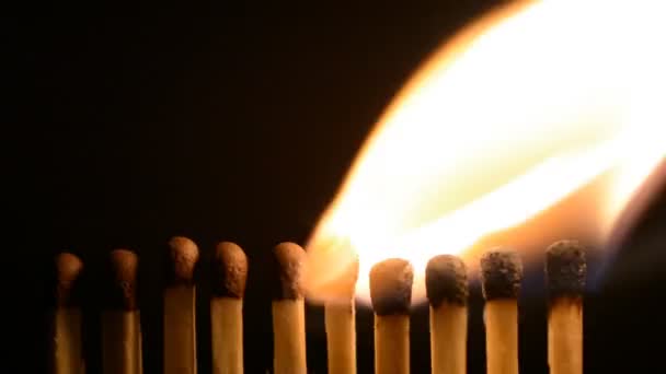 Ignition matches in sequence, metaphor of influence, chain reaction, domino effect close-up — Stock Video