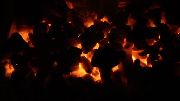 Fire coals on dark — Stock Video