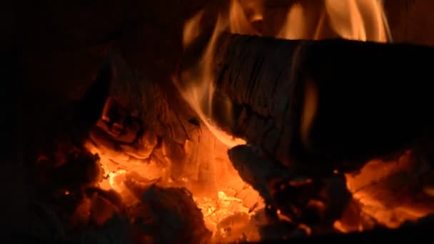 Burning wood in a stove — Stock Video