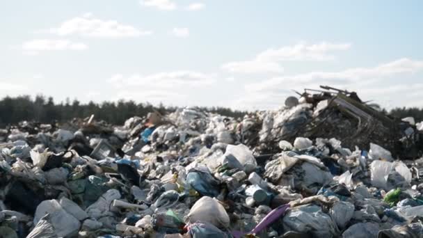 Garbage bags dump — Stock Video