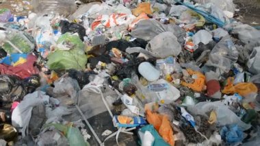 MINSK, BELARUS - 20 Mart 2020: Ekolojik Felaket kavramı, ormandaki plastik kirliliği