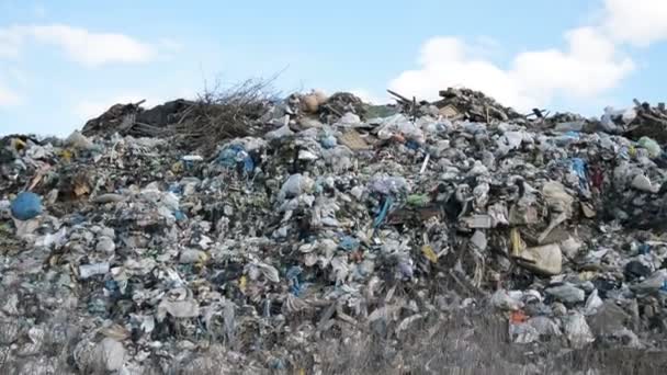 City garbage dump — Stock Video
