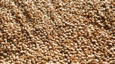 Karabuğday arkaplanı desenli