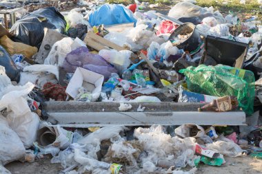 Ormanda Çöp Döküntüsü